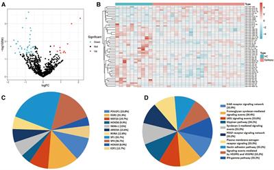 Identification of miRNAs in extracellular vesicles as potential diagnostic markers for pediatric epilepsy and drug-resistant epilepsy via bioinformatics analysis